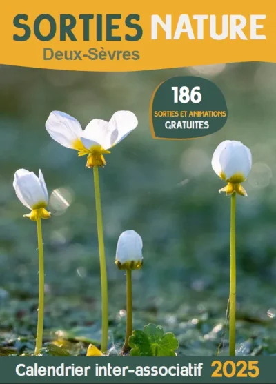 SORTIE-NATURE-Gestion-des-haies-et-biodiversite8230-8211-03-10-2025-8211-Sainte-Neomaye_2979865