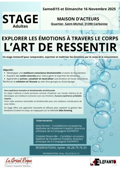 STAGE-L039ART-DE-RESSENTIR-8211-Carbonne_3127415