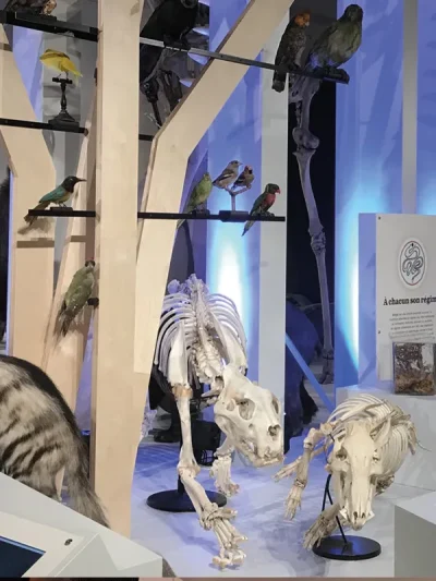 Safaris-racontes-au-Museum-8211-05-12-2025-8211-Marseille-4e-Arrondissement_3309592