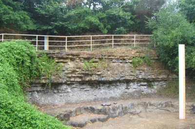 Sainte-Verge-La-Reserve-Naturelle-Nationale-du-Toarcien-8211-08-10-2025-8211-Sainte-Verge_3143444