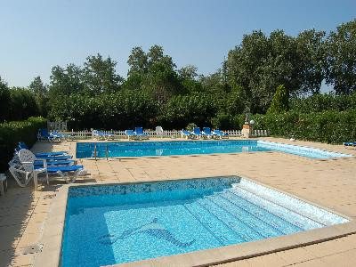 Salicornes_169577
