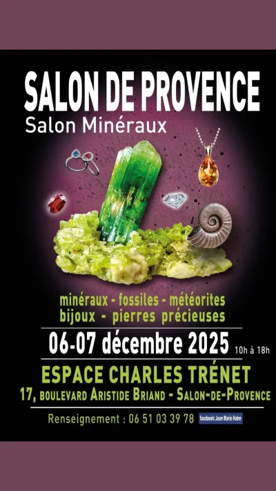 Salon-Mineraux-8211-06-12-2025-8211-Salon-de-Provence_2862838