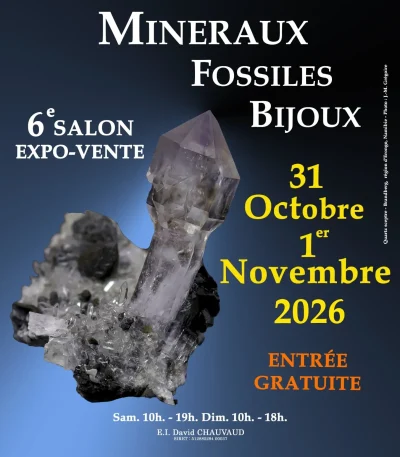 Salon-Mineraux-Fossiles-Bijoux-8211-01-11-2026-8211-Saint-Jammes_3880560