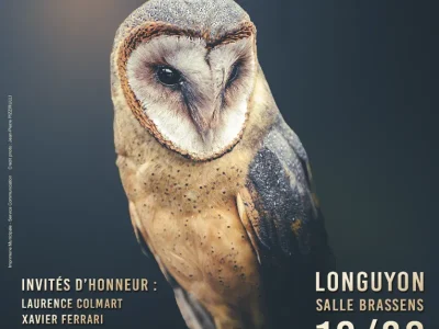 Salon-de-la-photographie-quotMille-et-un-regardquot-8211-19-09-2026-8211-Longuyon_3790084