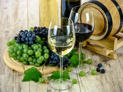 Salon-des-vins-de-la-Vallee-du-Rhone-8211-09-05-2026-8211-Salmagne_3570345