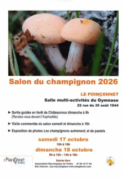 Salon-du-champignon-2026-8211-18-10-2026-8211-Le-Poinconnet_3901848