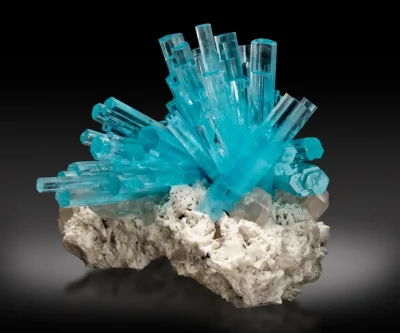 Salon-mineraux-fossiles-et-bien-etre-8211-08-08-2025-8211-Lesparre-Medoc_2680722