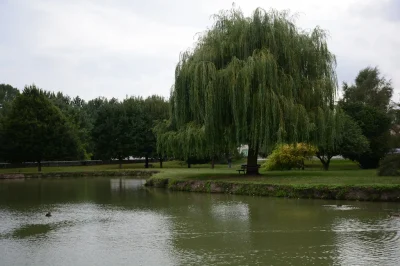 Savigny-8211-Bertignolles-8211-Savigny-en-Veron_3697689-1