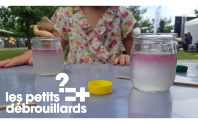 Sciences-en-Bas-de-Chez-Toi-8211-FOUCHET-8211-27-08-2025-8211-Pau_3051755