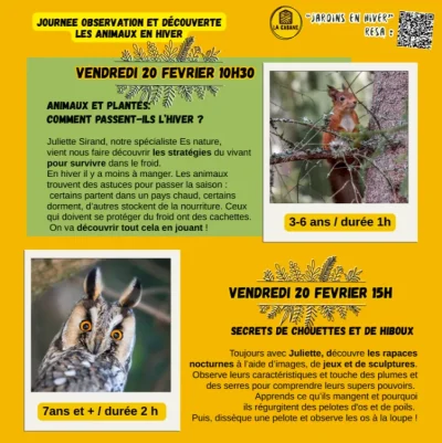 Secrets-de-chouettes-et-de-hiboux-8211-20-02-2026-8211-Villeneuve-sur-Lot_3467885