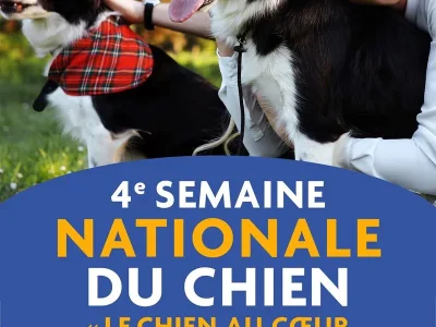Semaine-Nationale-du-Chien-au-Pays-Thionvillois-8211-26-09-2026-8211-Thionville_3819250
