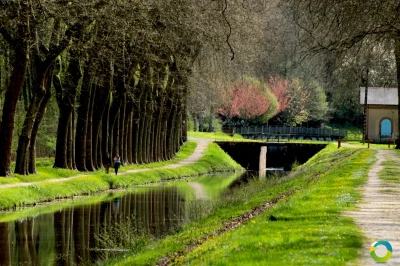 Sente-Bleue-balade-le-long-du-canal-Sans-Queue-Ni-Tete-8211-Aubigny-sur-Nere_2792257