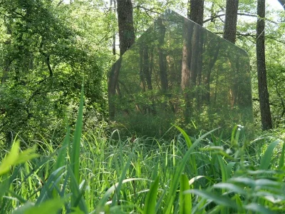 Sentier-aux-sculptures-8211-Baerenthal_3444949