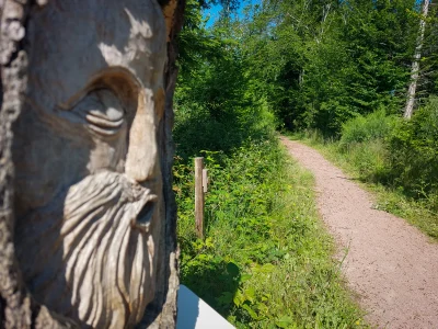 Sentier-d039interpretation-8211-Etang-de-Niffond-8211-Varennes-Vauzelles_3631688