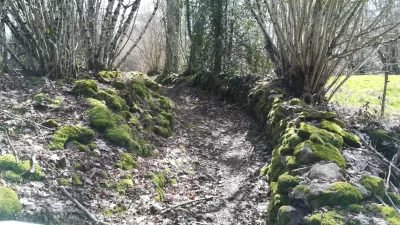 Sentier-de-Muret_1035451