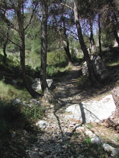 Sentier-de-decouverte-De-la-font-aux-pigeons-au-puits-de-barbe_25195