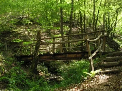 Sentier-de-l039imaginaire-circuit-quotla-Foret-Magiquequot-8211-Taussac_2228687-1