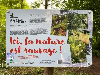 Sentier-de-la-Moder-8211-Ingwiller_1540414