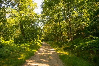 Sentier-de-la-croix-du-loup_1039752
