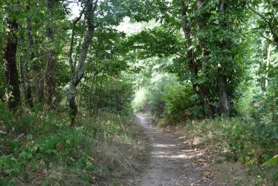 Sentier-des-Feutrieres-8211-Saint-Junien_3802488-1