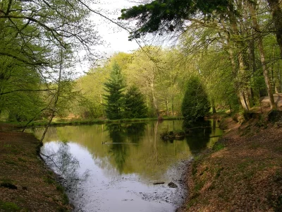 Sentier-des-etangs_1067977