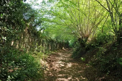 Sentier-des-forges-et-des-moulins-8211-Meuzac_3793398