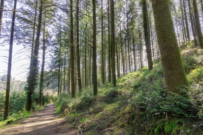 Sentier-des-petits-ruisseaux-8211-Compreignac_2794282