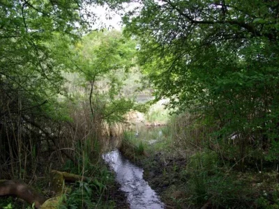 Sentier-des-sources_22813