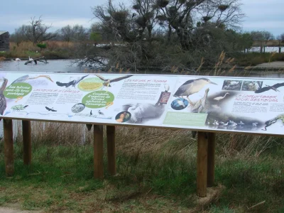 Sentier-du-Parc-ornithologique-de-Pont-de-Gau-8211-Saintes-Maries-de-la-Mer_2704025