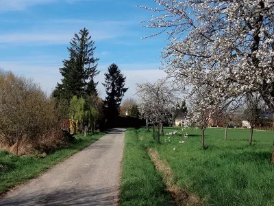 Sentier-du-Steinbaechlein-a-Morschwiller-le-Bas_24252