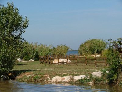 Sentier-et-observatoires-ornithologiques-de-l039Etang-de-Bolmon_25341