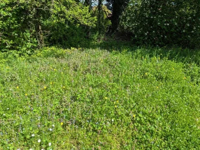 Sentier-floristique-8211-Toul_3781166