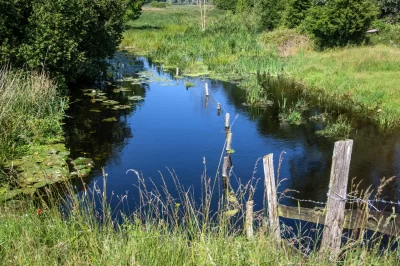 Sentier-nature-de-Douy-8211-Cloyes-les-Trois-Rivieres_1387004