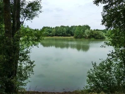 Sentier-pedagogique-de-l039etang-de-l039Evangile-1-km-8211-Fay-aux-Loges_3305696