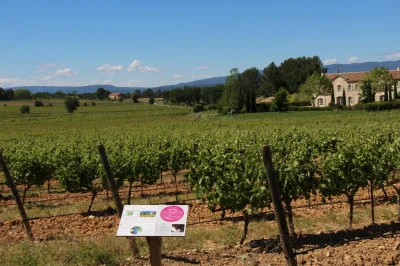Sentier-vigneron-de-Chateau-Paradis-8211-Le-Puy-Sainte-Reparade_2704067