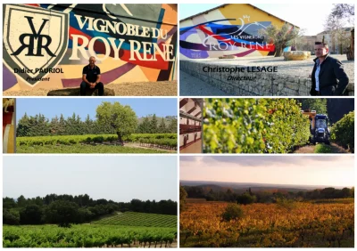 Sentier-vigneron-du-Vignoble-du-Roy-Rene-8211-Lambesc_3623175