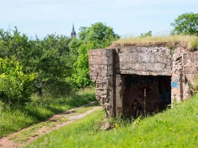 Sentier-viticole-des-Coteaux-du-Vieil-Armand_22717