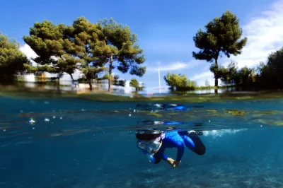 Sentiers-sous-marins-du-Parc-Marin-de-la-Cote-Bleue-a-Carry-le-Rouet-8211-Carry-le-Rouet_3434591