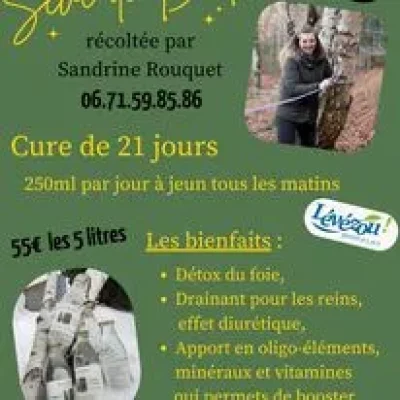 Seve-de-Bouleau-fraiche-et-locale-8211-Salles-Curan_2244132
