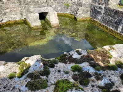 Site-archeologique-Aquae-Segetae-8211-Sceaux-du-Gatinais_3231246