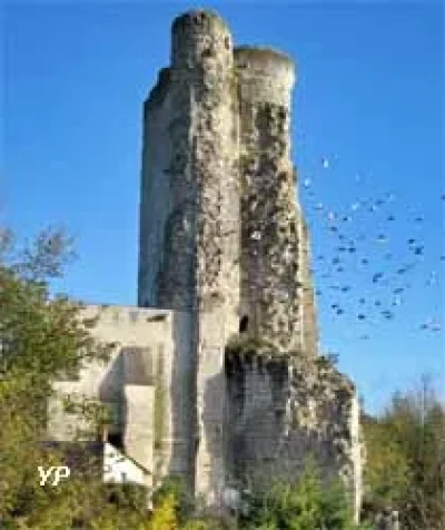 Site-castral-du-Haut-Clairvaux-8211-Scorbe-Clairvaux_2524631