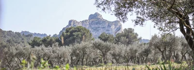 Site-d039escalade-de-Saint-Remy-de-Provence-8211-Mont-Gaussier-8211-Les-tisseurs-d039or-8211-Saint-Remy-de-Provence_3129267