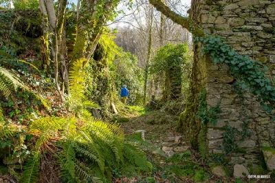 Site-historique-et-archeologique-de-Jalenques-8211-Quins_2244510