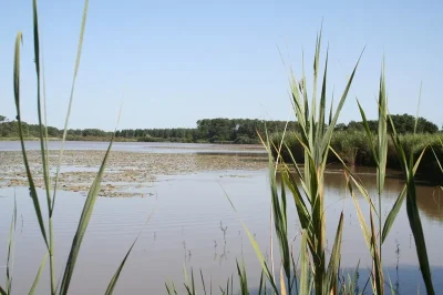 Site-naturel-de-l039etang-de-Bellebouche-8211-Mezieres-en-Brenne_2369368