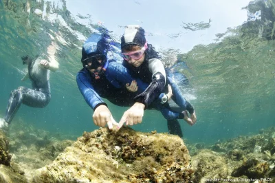 Snorkeling-au-coeur-du-Parc-Marin-8211-03-07-2025-8211-Carry-le-Rouet_2508519