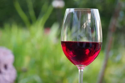 Soiree-Beaujolais-8211-21-11-2025-8211-Saint-Sornin-la-Marche_2511699