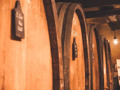 Soiree-Beaujolais-nouveau-8211-21-11-2025-8211-Lemberg_3244992