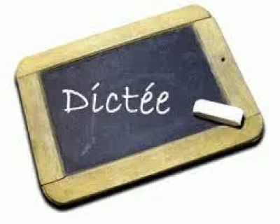 Soiree-Dictee-8211-28-02-2026-8211-Devillac_3474157