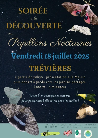 Soiree-a-la-decouverte-des-papillons-nocturnes-8211-29-08-2025-8211-Trevieres_2988491