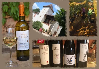 Soiree-cinema-et-degustation-sous-les-etoiles-au-Clos-du-Chene-8211-24-07-2026-8211-Duravel_3678611
